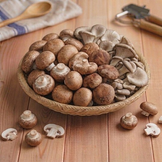 Mushroom