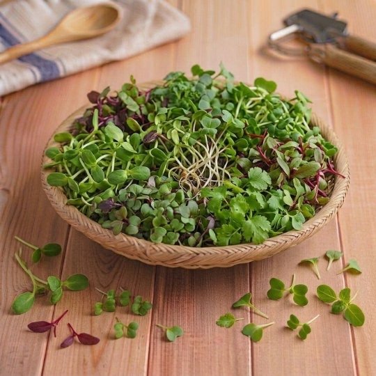 Micro green