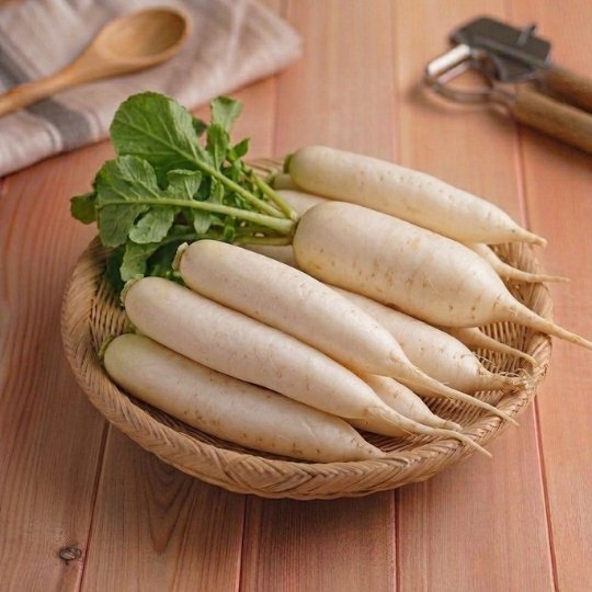 Radish
